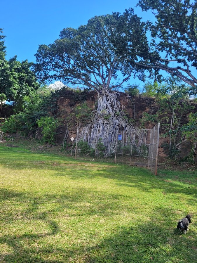 Dole Community Park