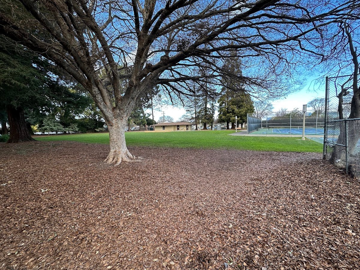 Orchard Gardens Park