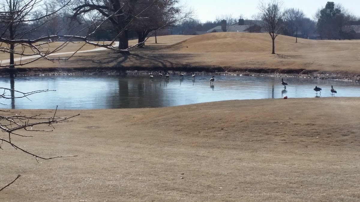 Westwood Park Golf Course