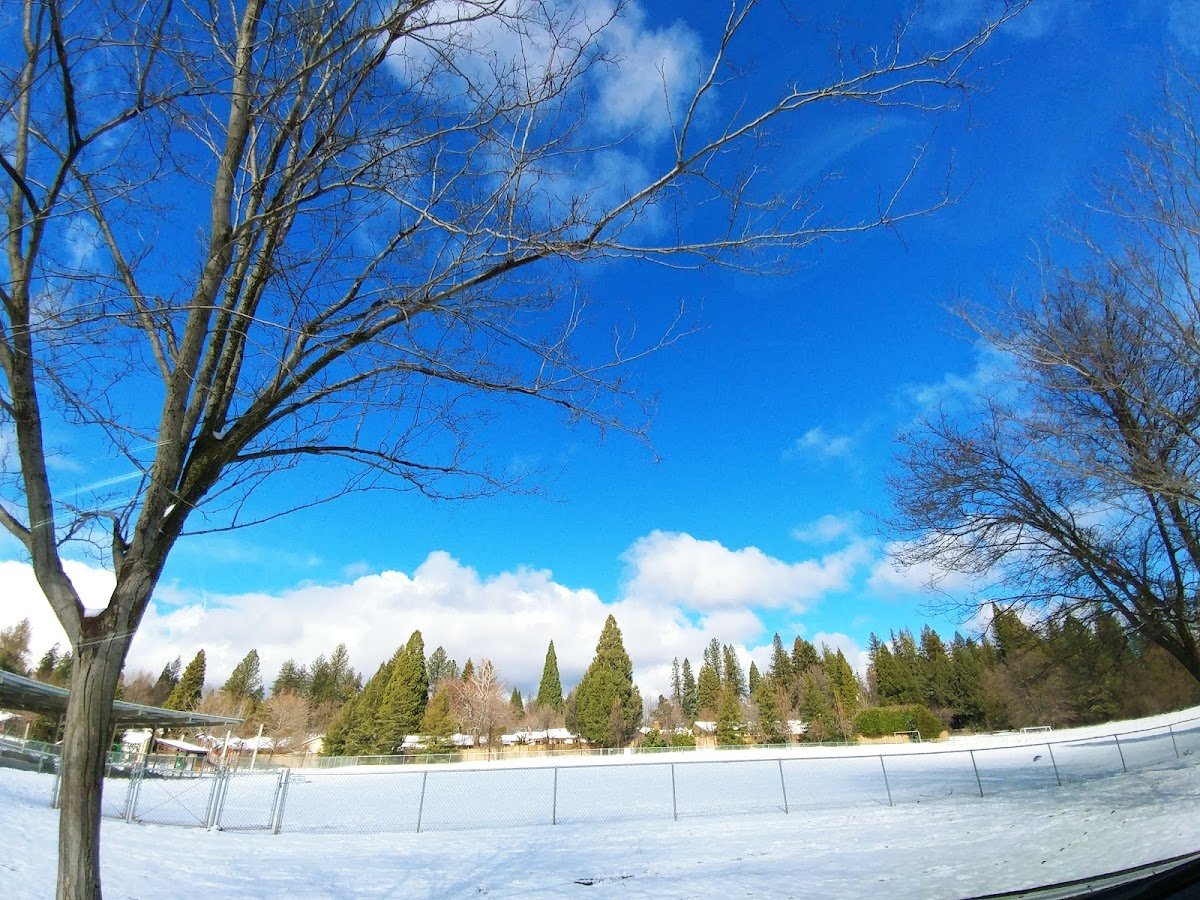 DeVere "Dee" Mautino Park (Tennis Court)