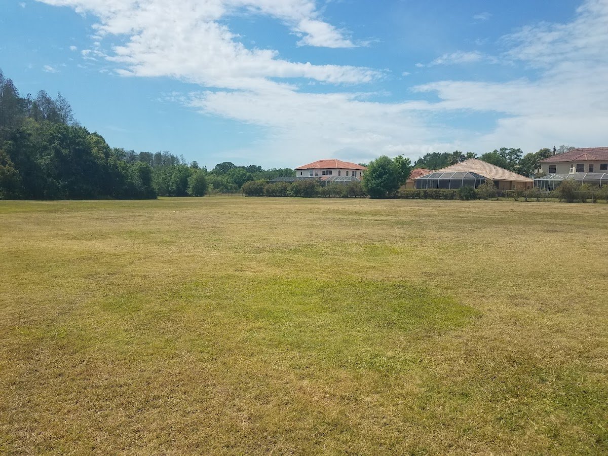 Carrollwood Meadows Park