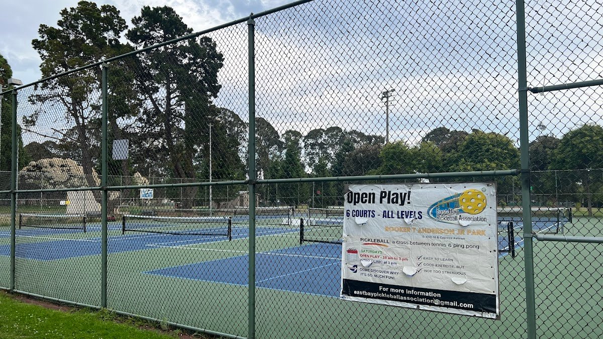 Booker T. Anderson Jr. Park (Tennis Court)