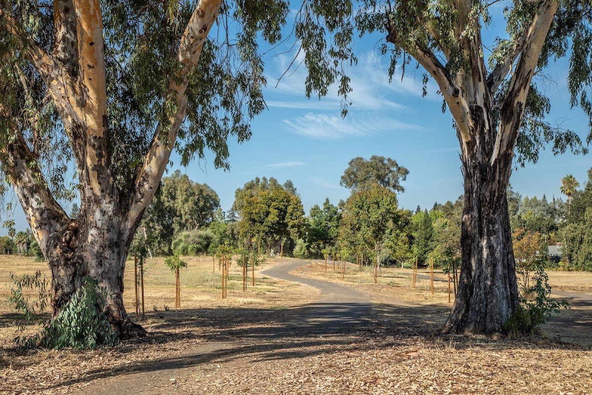 Sunset Whitney Country Club