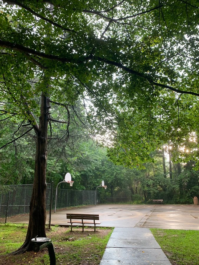 Glen Eden Pilot Park (Tennis Court)