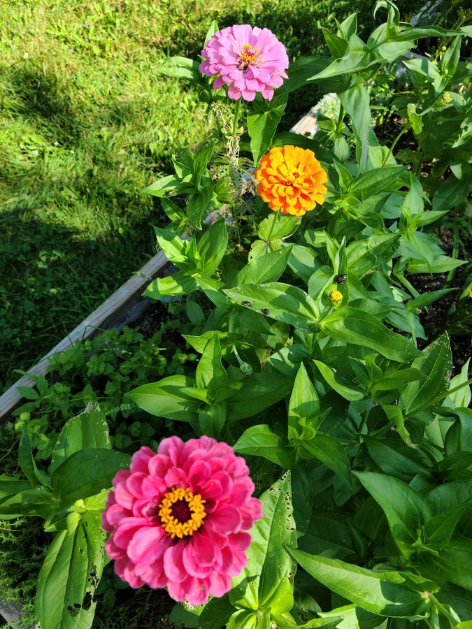 Marvin Playground Park