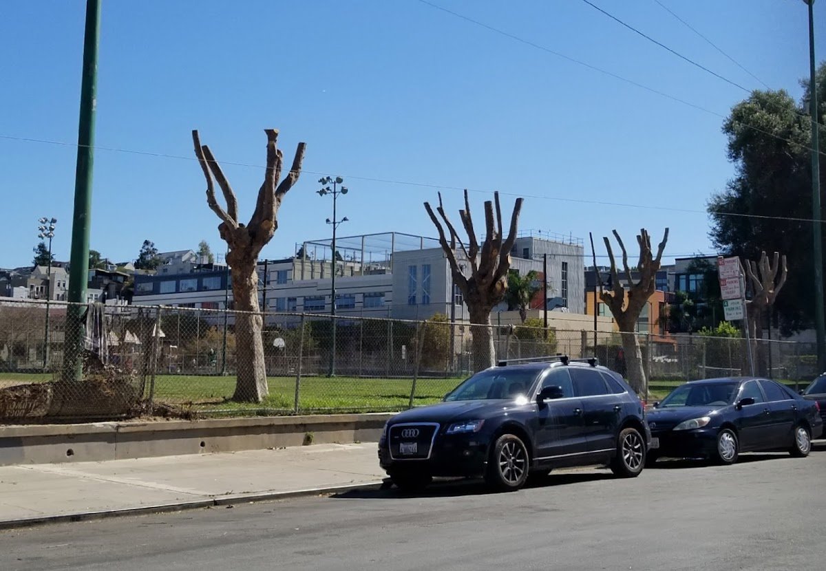 Jackson Playground