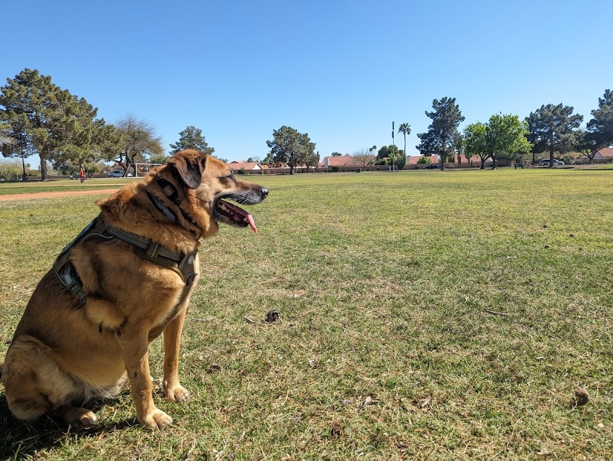 Thunderbird Park (Tennis Court)