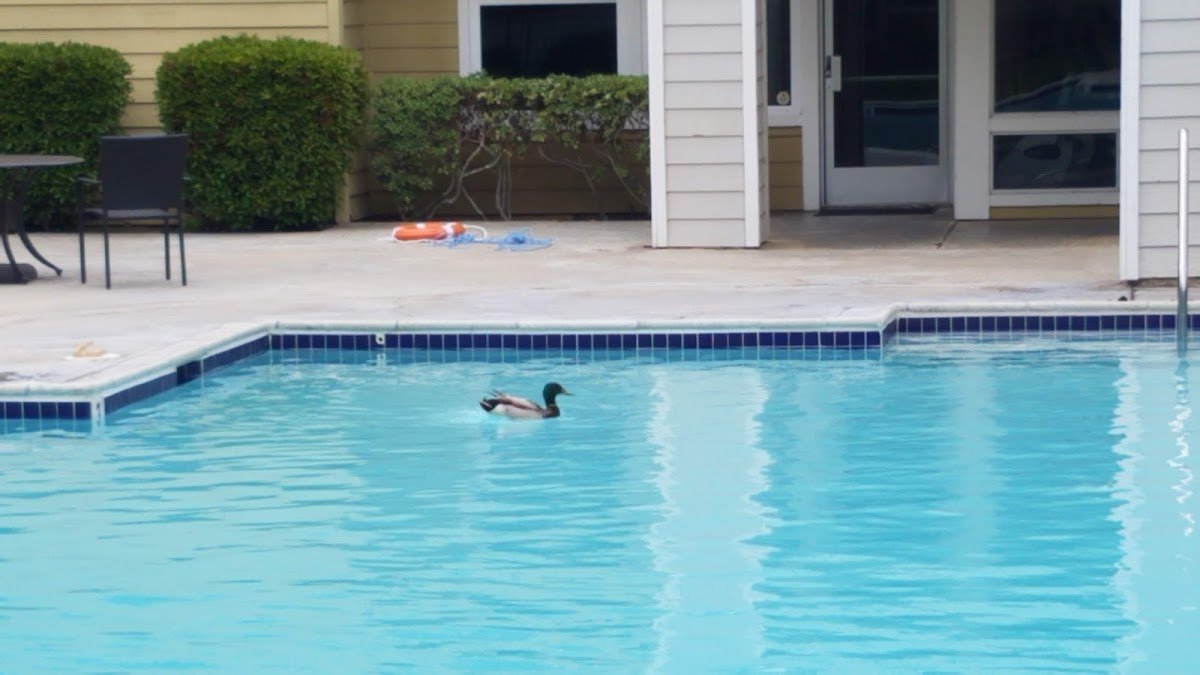 Elan Cardiff By The Sea