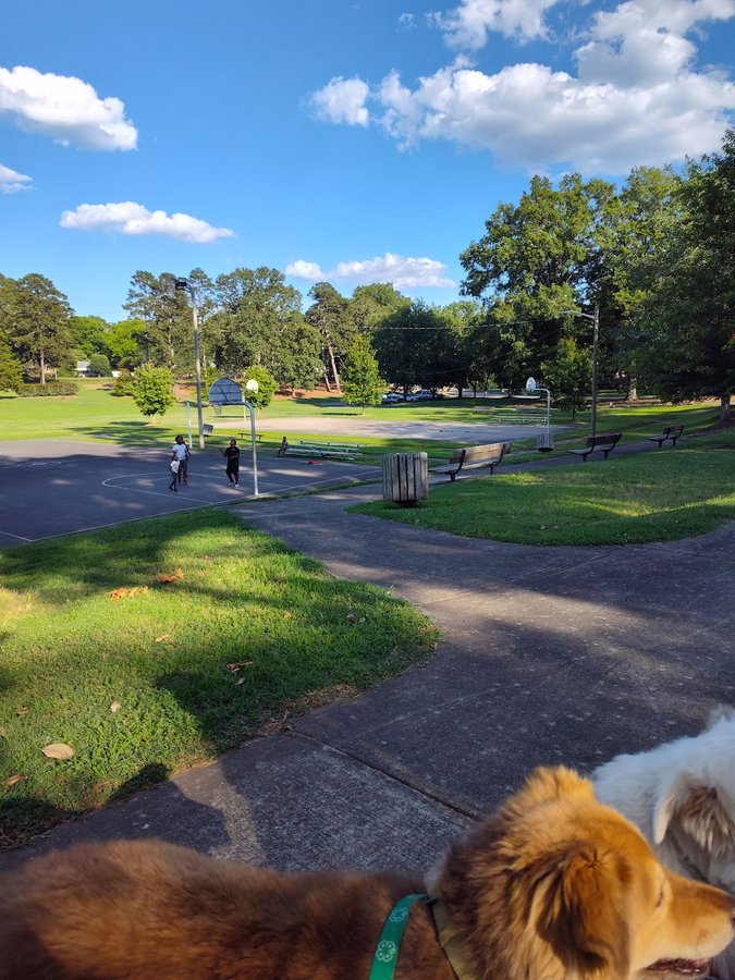 Confederate Park