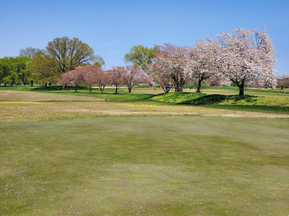 East Potomac Golf Links