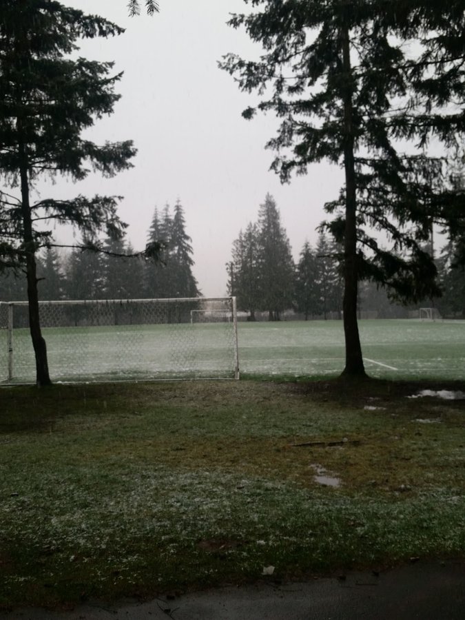 Karl Grosch Field at Steel Lake