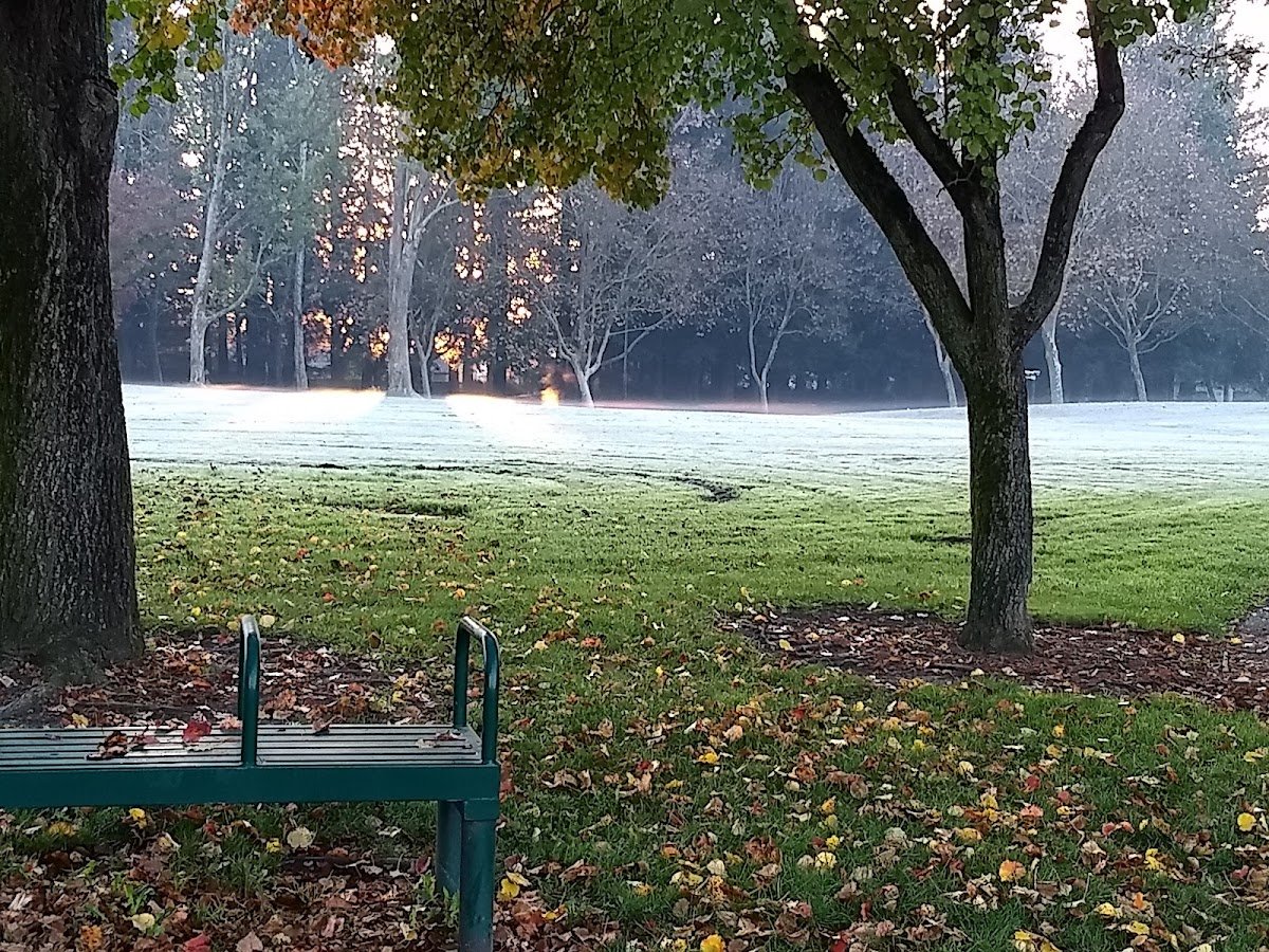 Dorotea Park