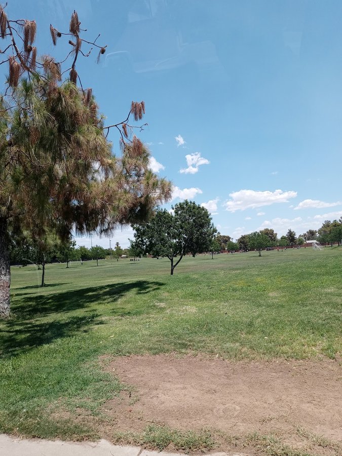 Kiwanis Park Soccer Field Cross Country Course