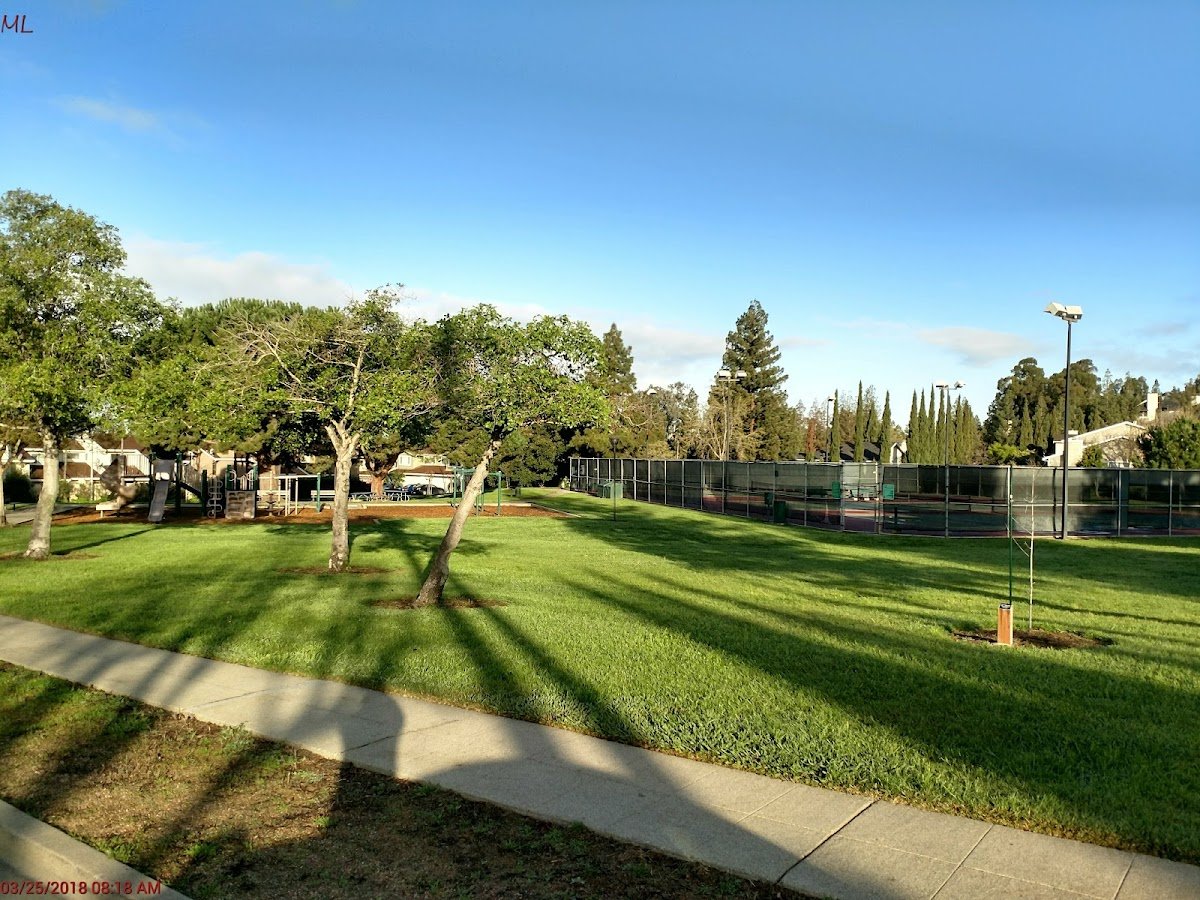 Stony Brook Park – tennis court in San Francisco