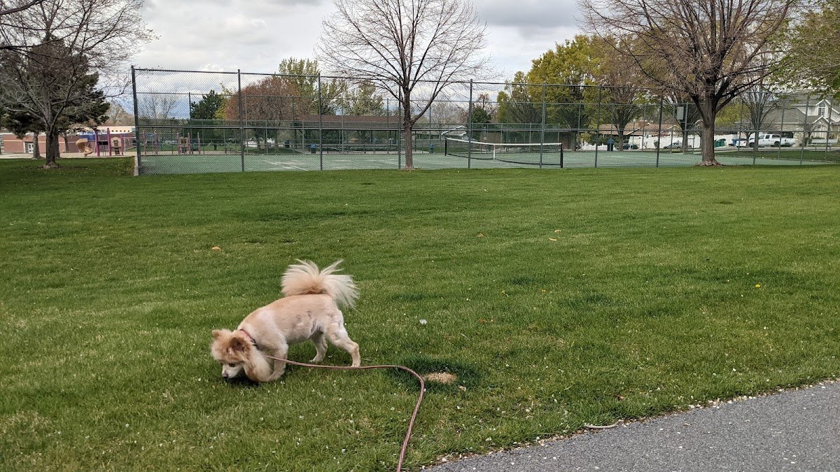 Northridge Park (Tennis Court)