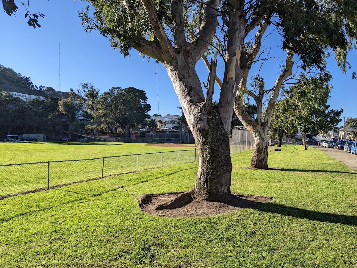 Gilman Playground