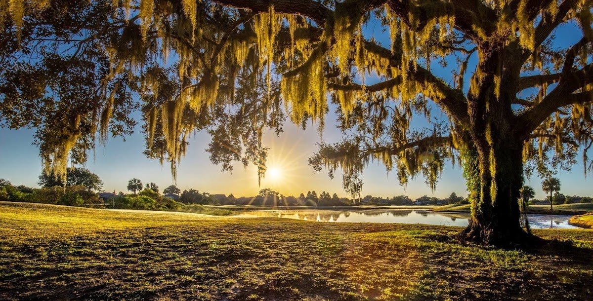 Kissimmee Bay Country Club (Tennis Court)