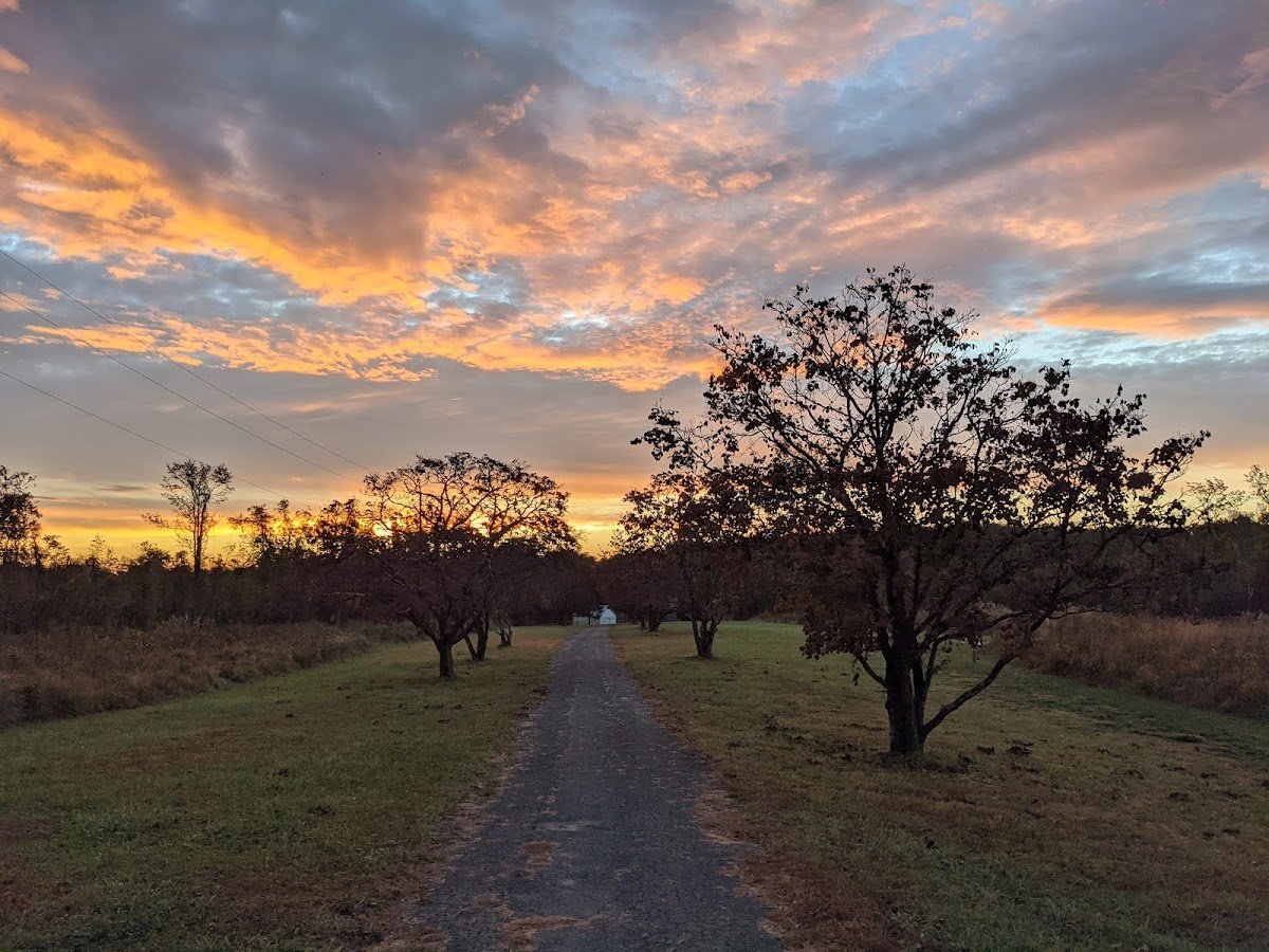 Rockburn Branch Park