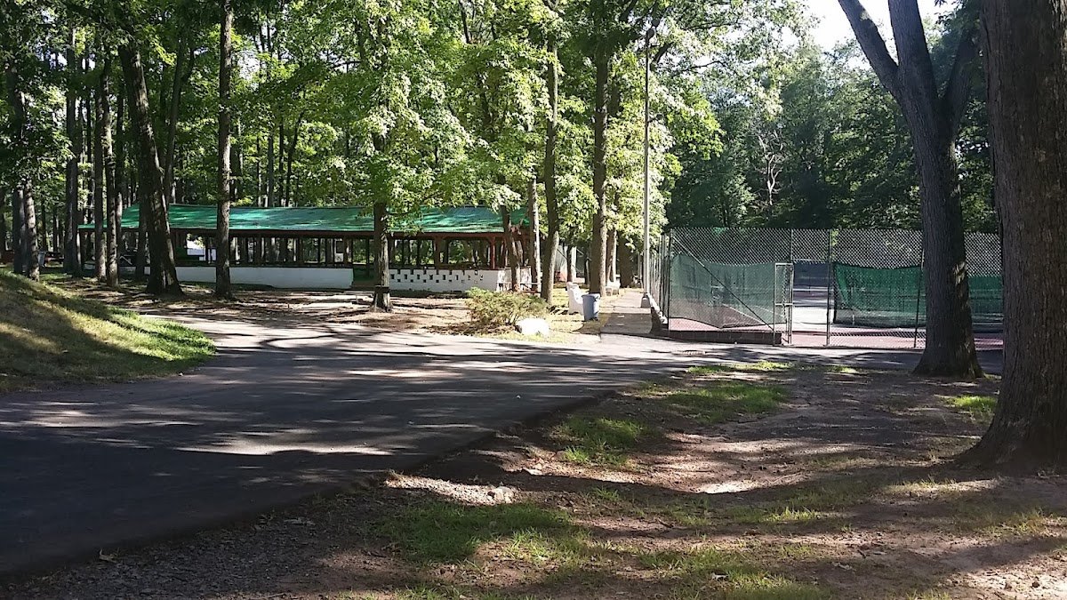 Springwood Swim Club