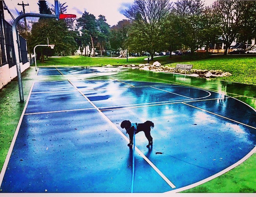 Cedar Cottage Park