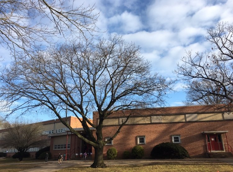 Rodgers Forge Elementary