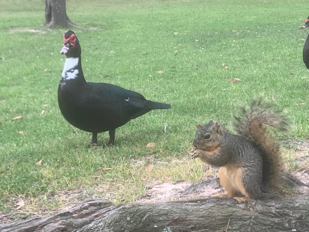 Mary Jo Peckham Park