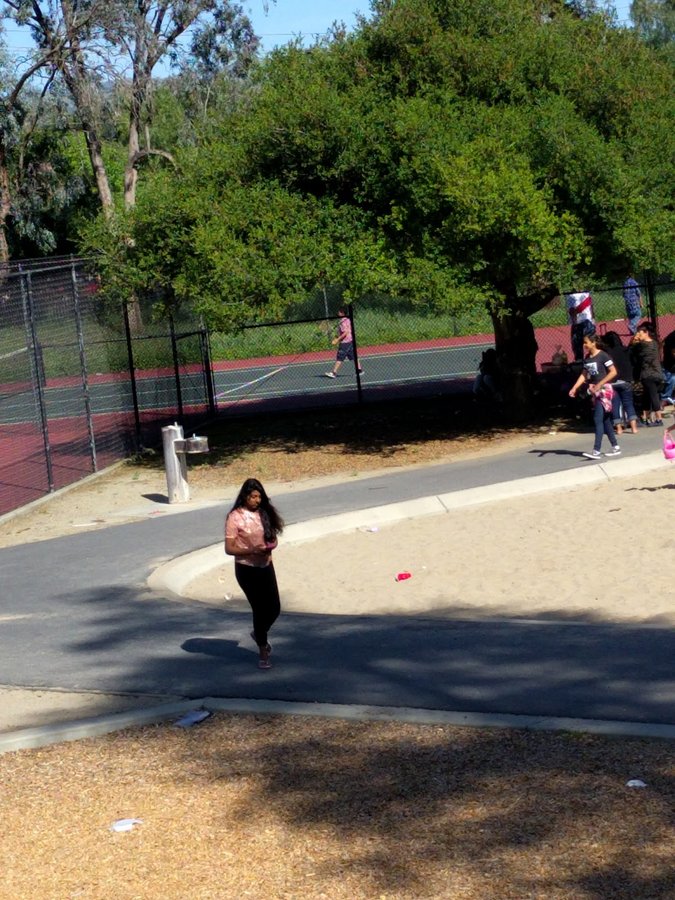 Edenvale Gardens Regional Park