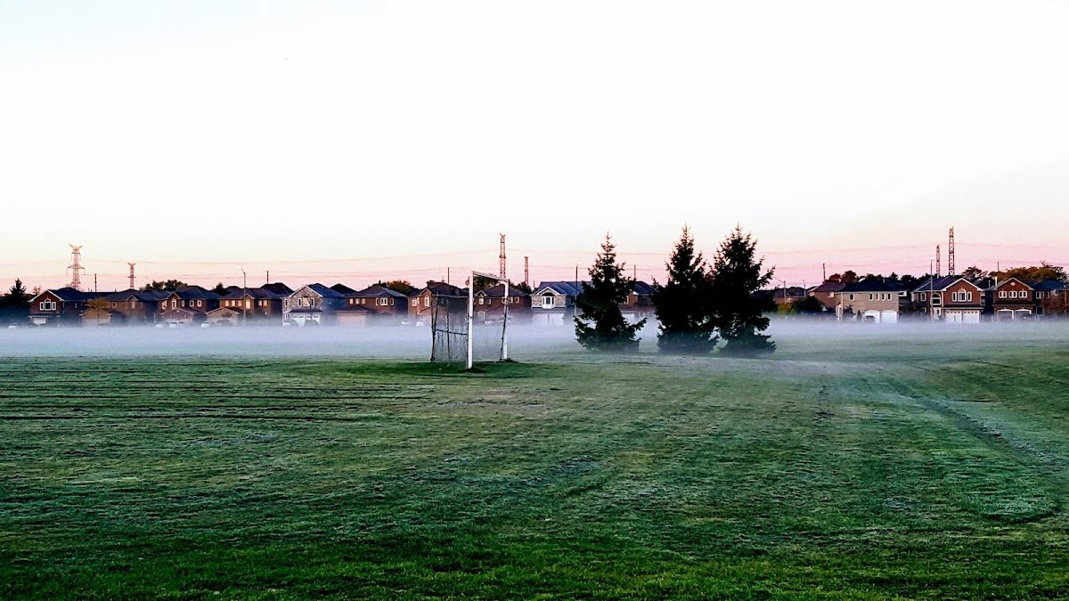 Lisgar Fields