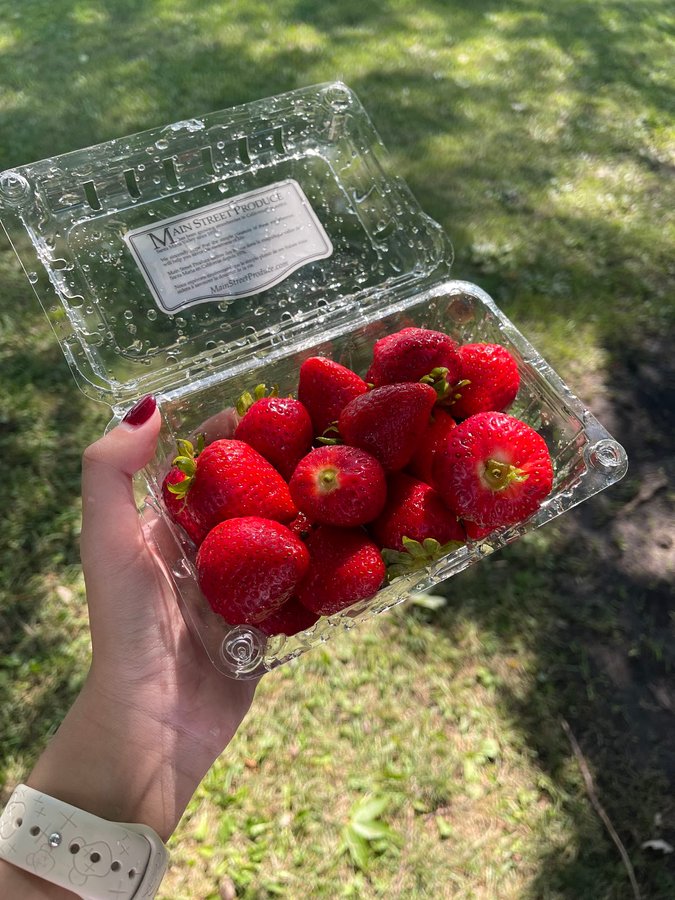 North Soccer Field 12