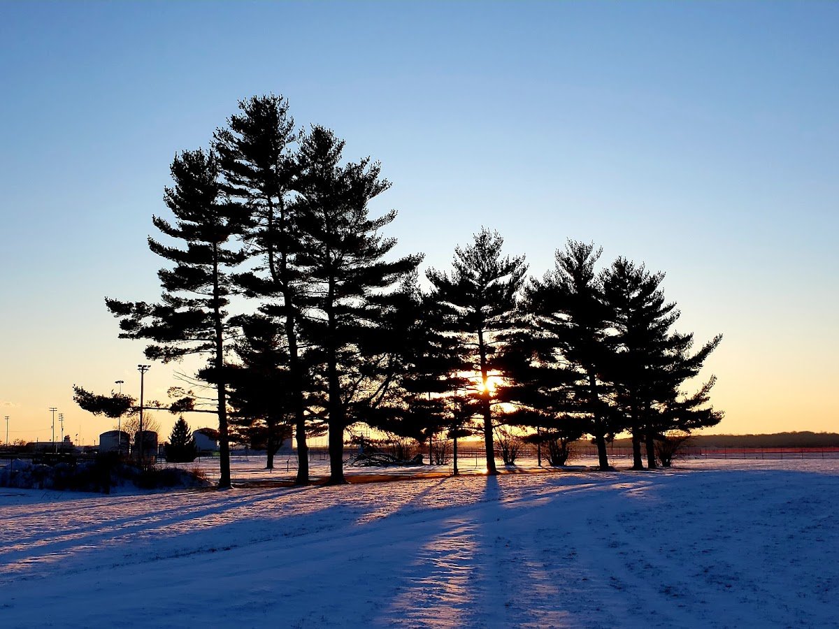 Fairfield Park