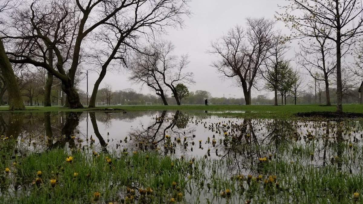 Douglass Football/Soccer Field- Artificial Turf
