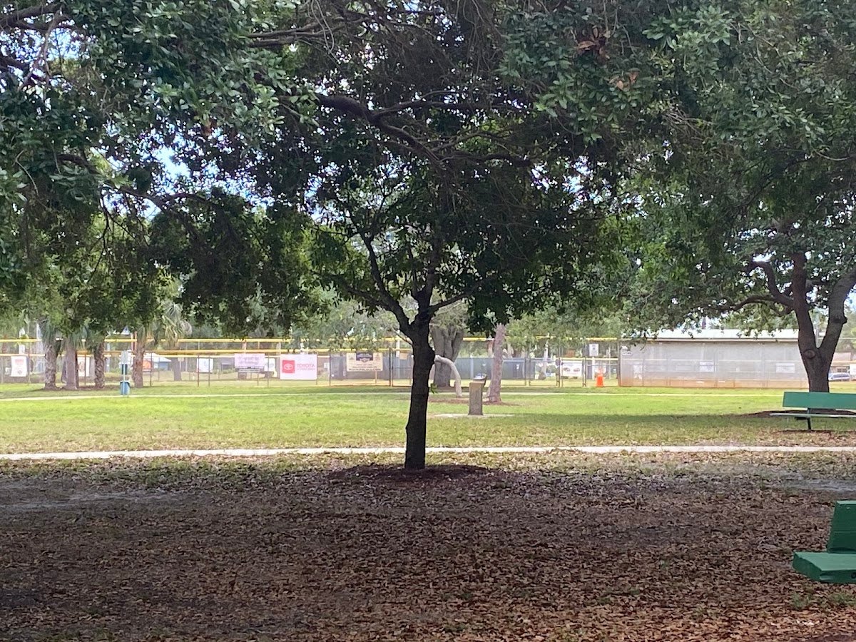 Lyngate Park