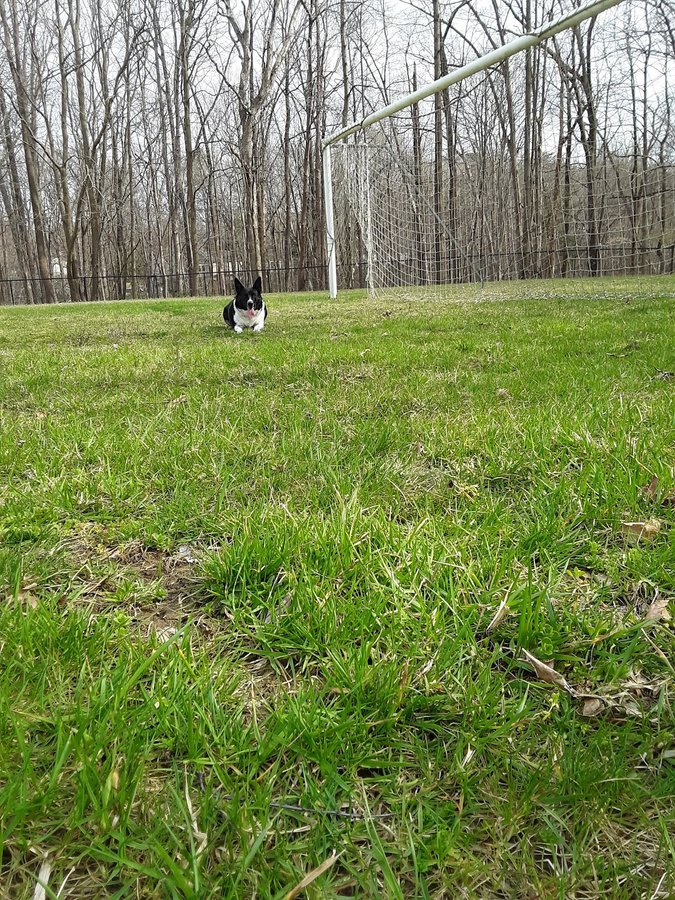 Newington Heights Park