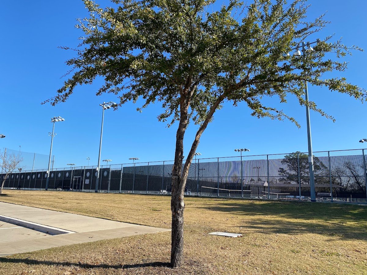 Flower Mound High School Tennis (Tennis Court)