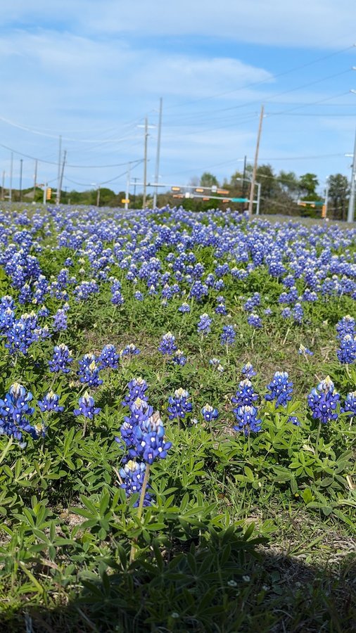 North Garland Track and Field