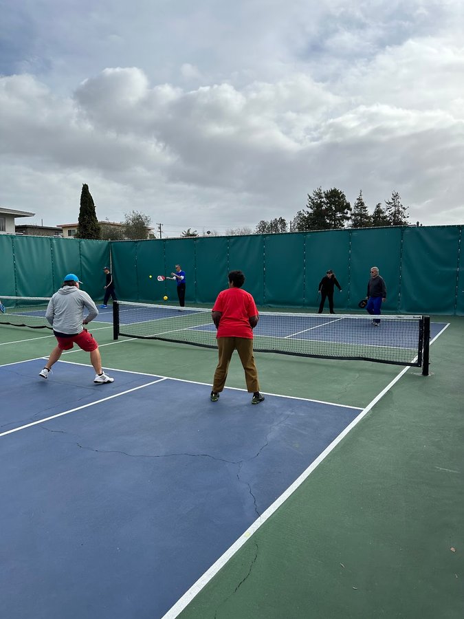 Cedar Rose Park Pickleball Courts