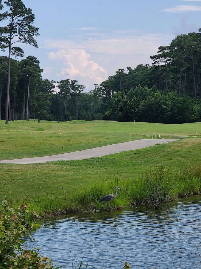 Red Wing Lake Golf Course