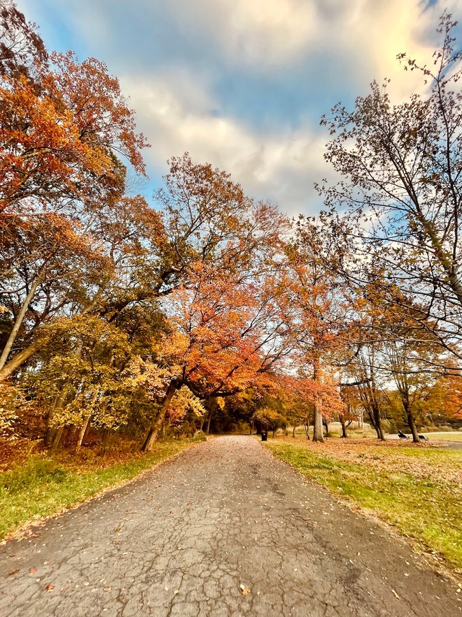 Edgewood Park