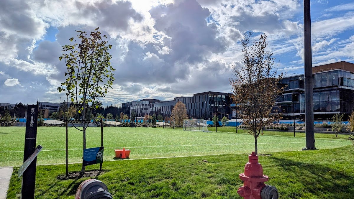 Microsoft Soccer Field