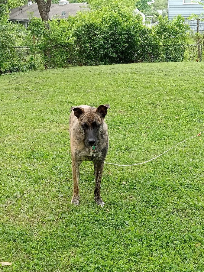 Clark-Ketterman Athletic Field