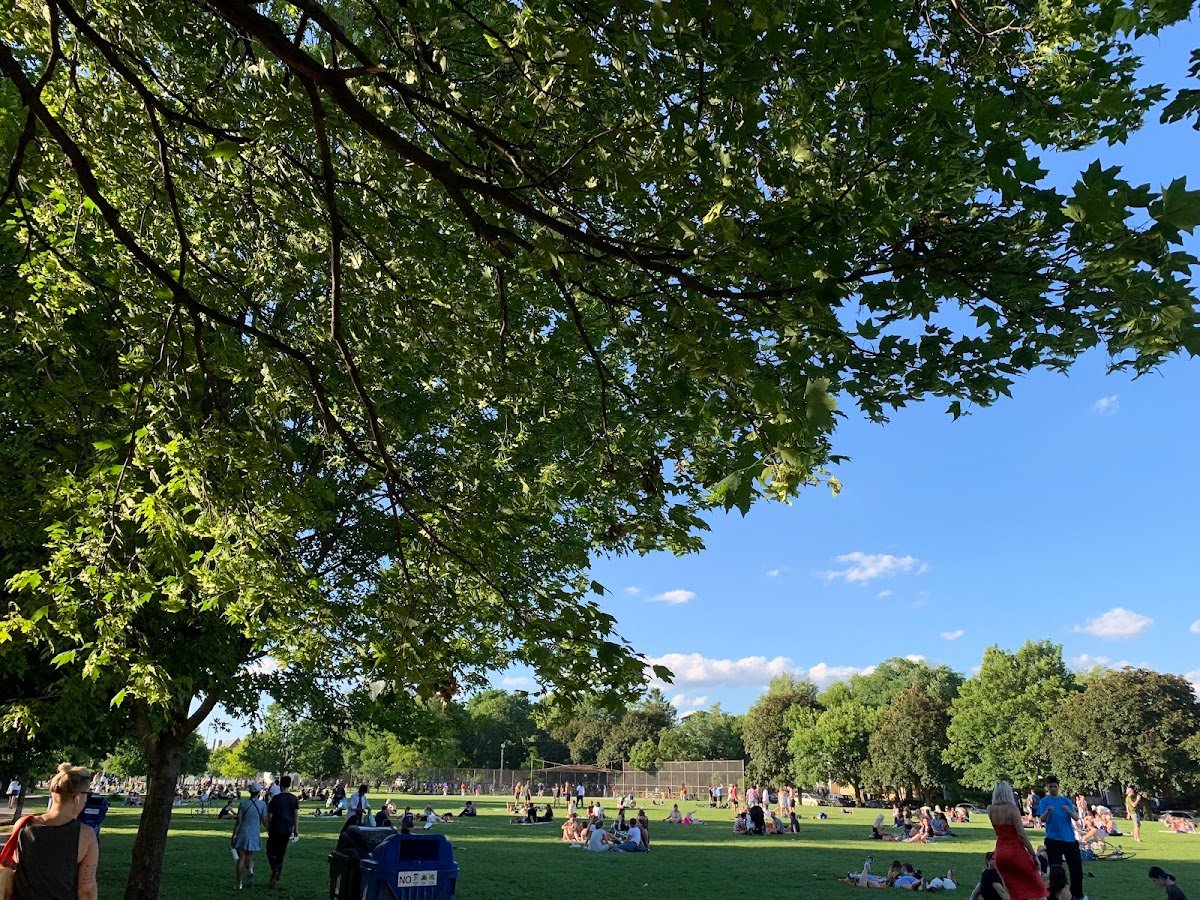 Trinity Bellwoods Park Tennis Courts