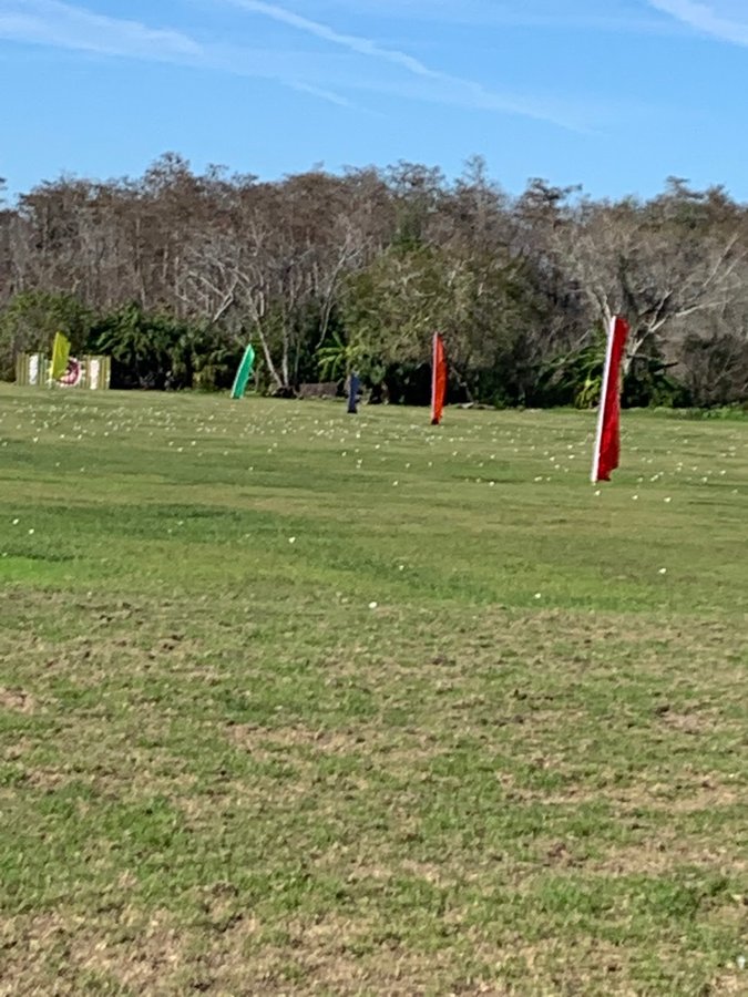 Bad Dog Driving Range